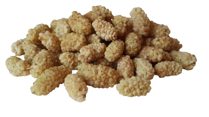 beyaz dut.png (274 KB)