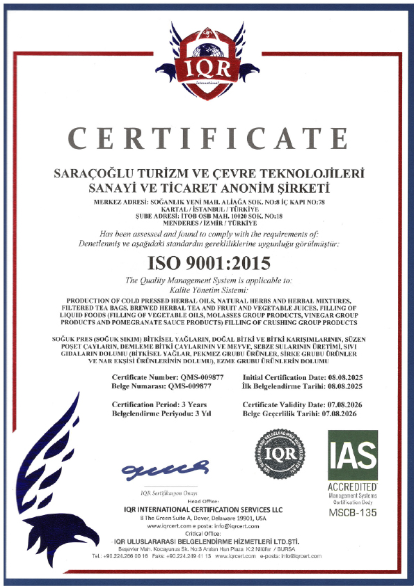 SARAÇOĞLU TURİZM ISO 9001.jpg (306 KB)